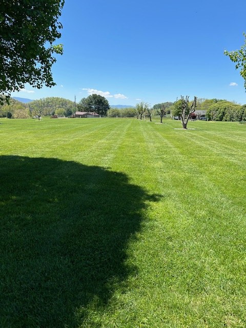 Collins Landscaping gallery photo