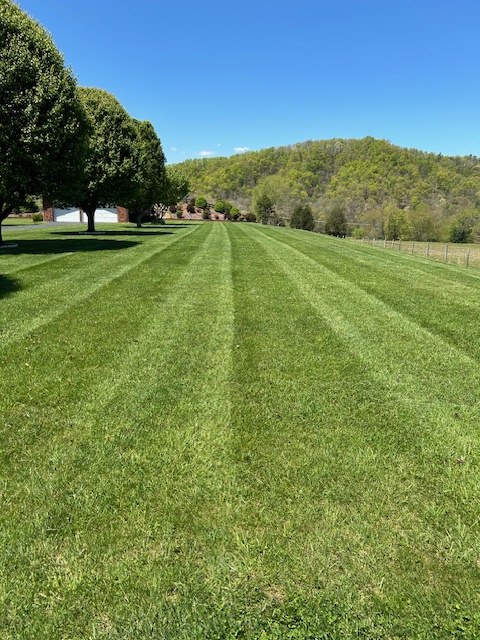 Collins Landscaping gallery photo