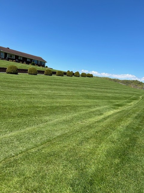 Collins Landscaping gallery photo