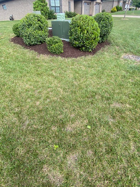 Collins Landscaping gallery photo