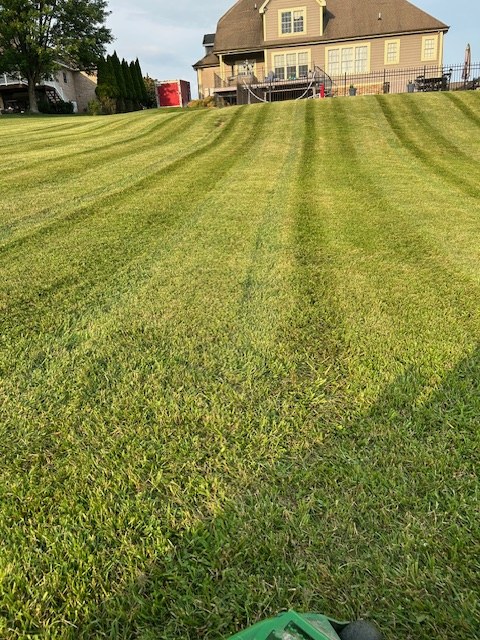 Collins Landscaping gallery photo