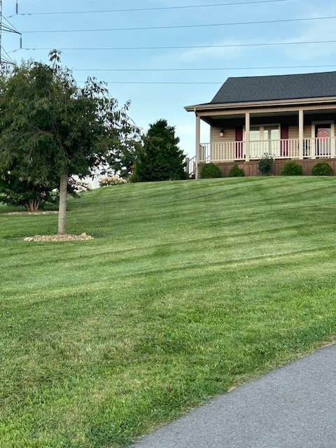 Collins Landscaping gallery photo