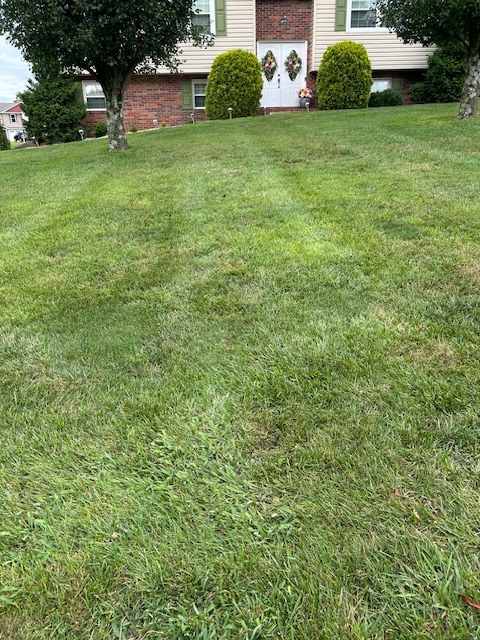 Collins Landscaping gallery photo